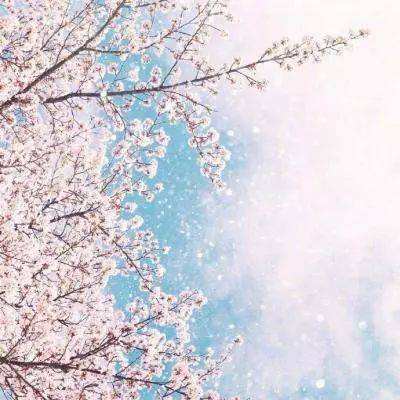 凤凰彩票welcome下载手机版截图